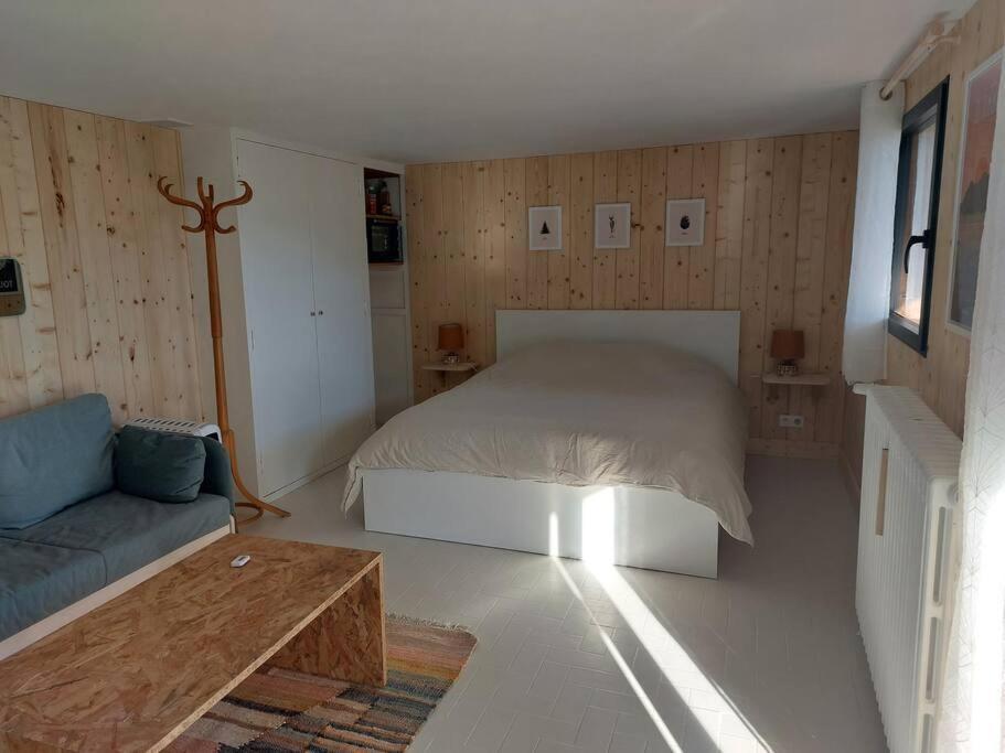 Studio Chez Suzanne Saint-Jorioz Zewnętrze zdjęcie
